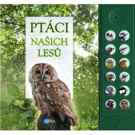 Ptáci našich lesů | Hana Marsault, Andrea Pinnington, Caz Buckingham