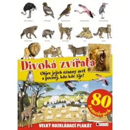 DIVOKÁ ZVÍŘATA – velký rozkládací plakát, 80 samolepek | Kateřina Vranová
