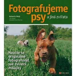Fotografujeme psy | Antonín Malý