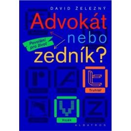 Advokát nebo zedník? | David Železný